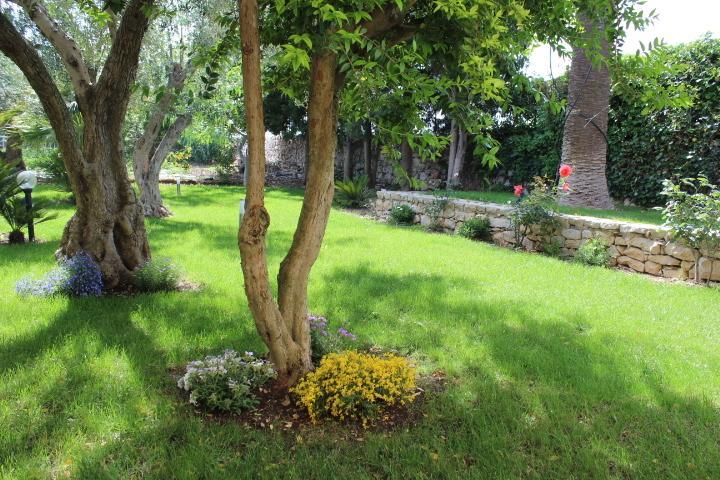 Appartamento Le Tre Palme Frigintini Room photo