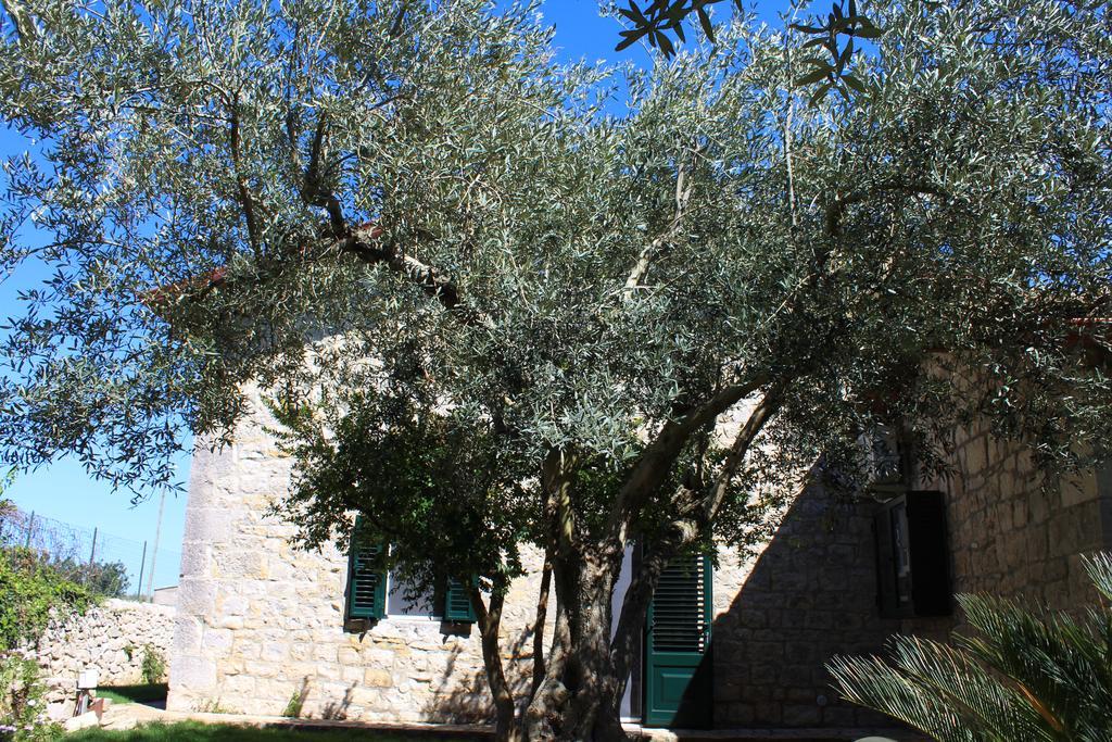 Appartamento Le Tre Palme Frigintini Exterior photo